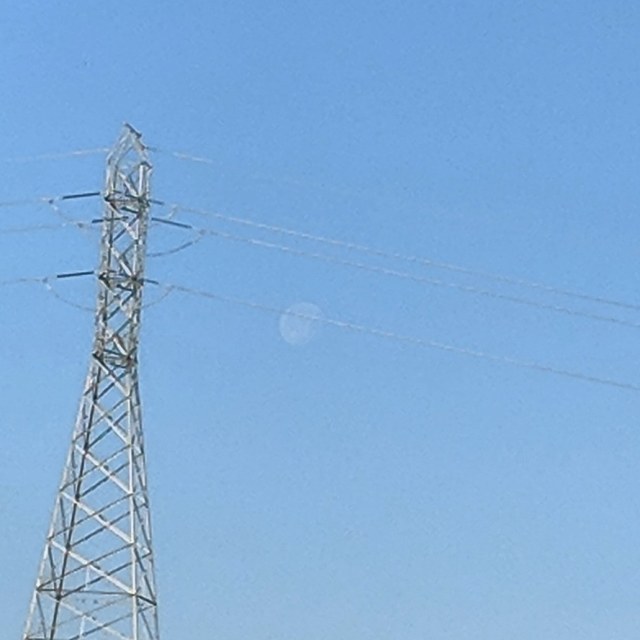 IMG_20180403_082624_779